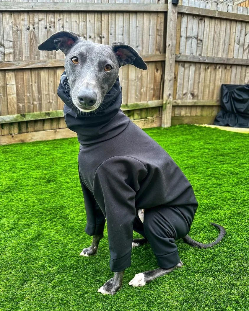 Softshell Water Resistant Suit For Whippets