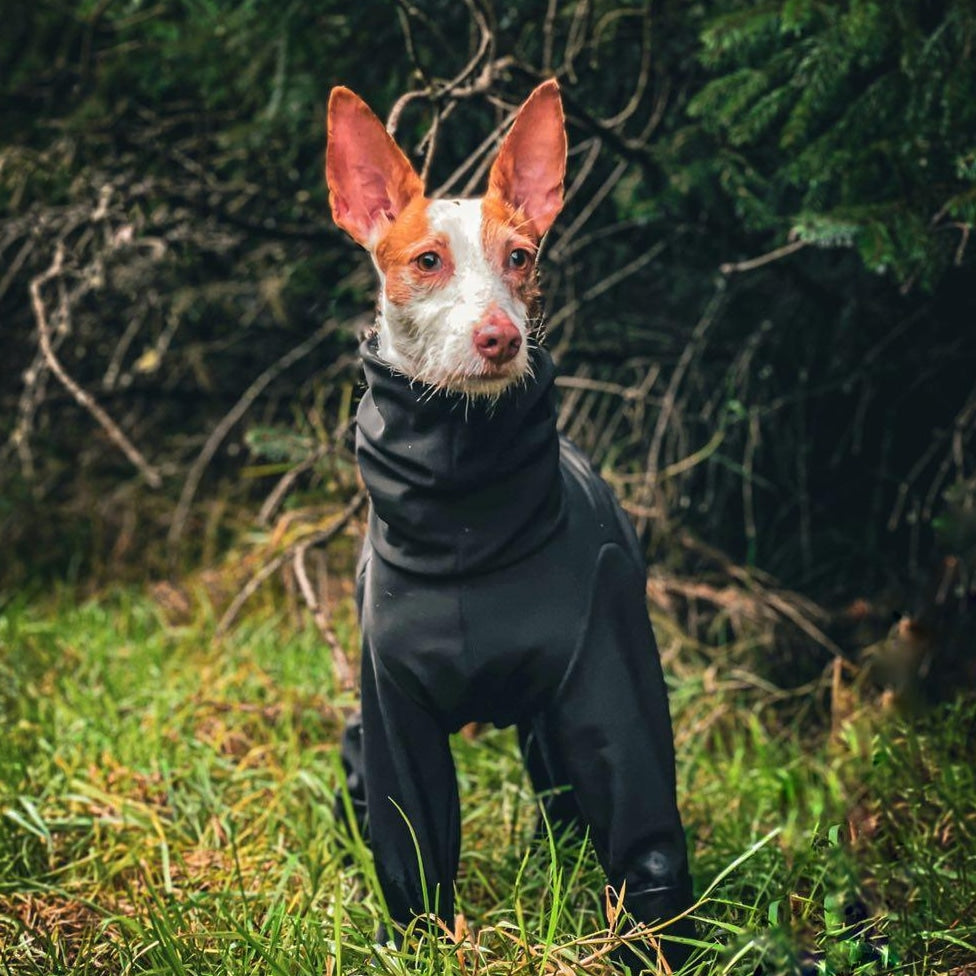 Softshell Water Resistant Suit For Whippets