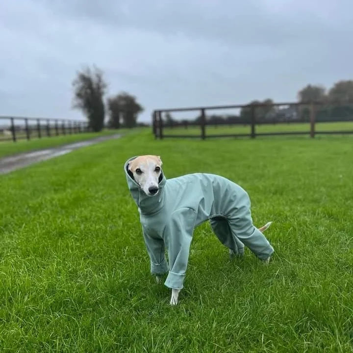 Softshell Water Resistant Suit For Whippets