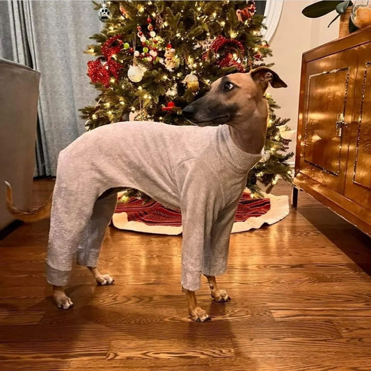 Whippet Bamboo Drying Suit SPECIAL OFFER DOVE GREY