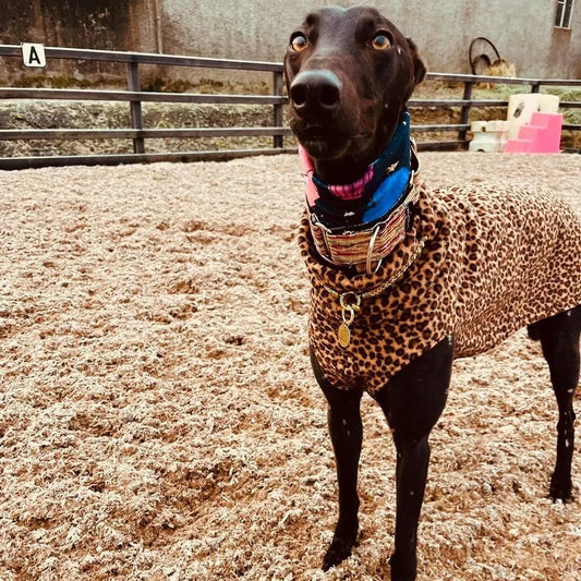 Leopard Print Sleeveless Vest