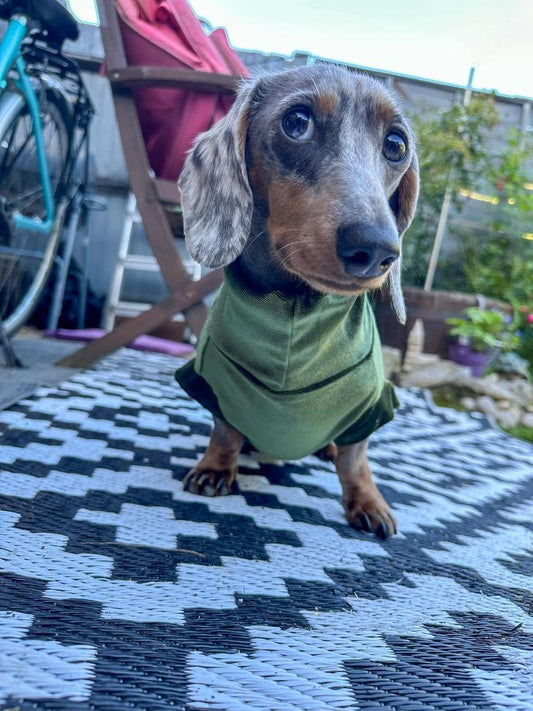 Luxe Velvet Jersey Dachshund/Small Breed (leave colour choice at checkout)