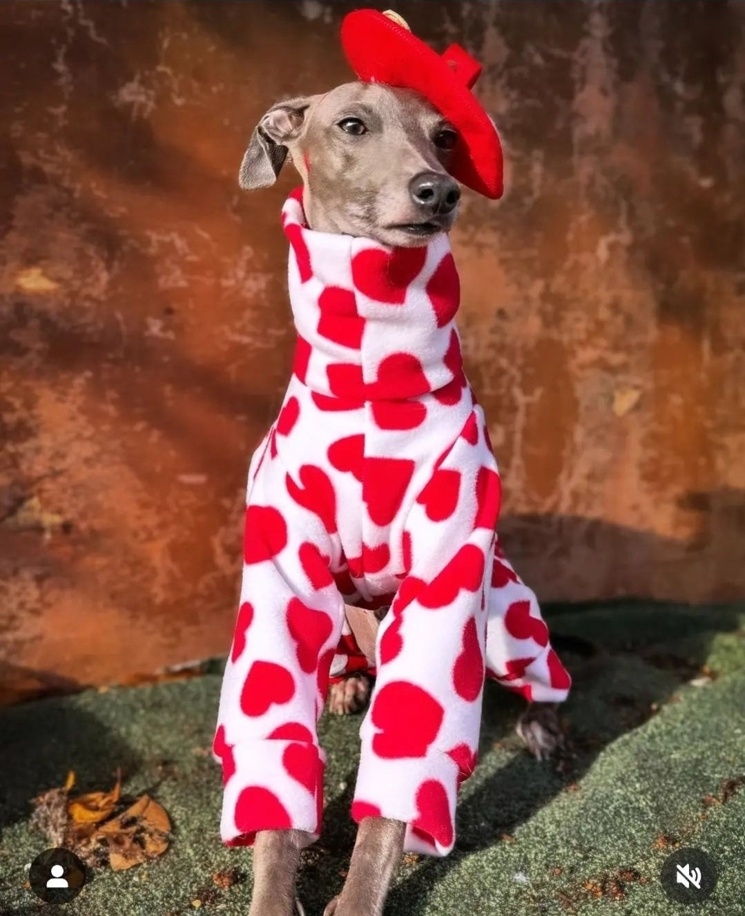 Hearts Italian Greyhound Fleece Onesie