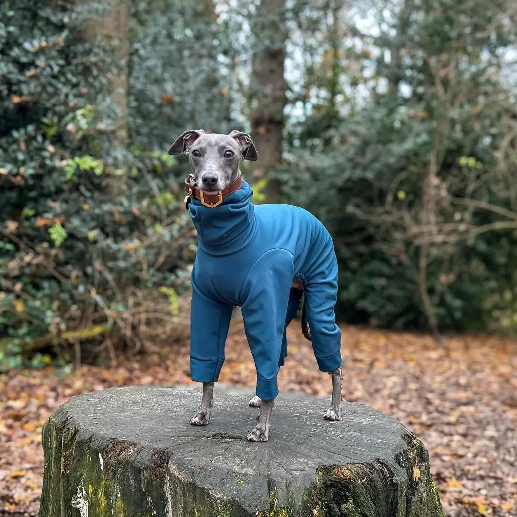 Softshell Water Resistant Suit For Italian Greyhounds