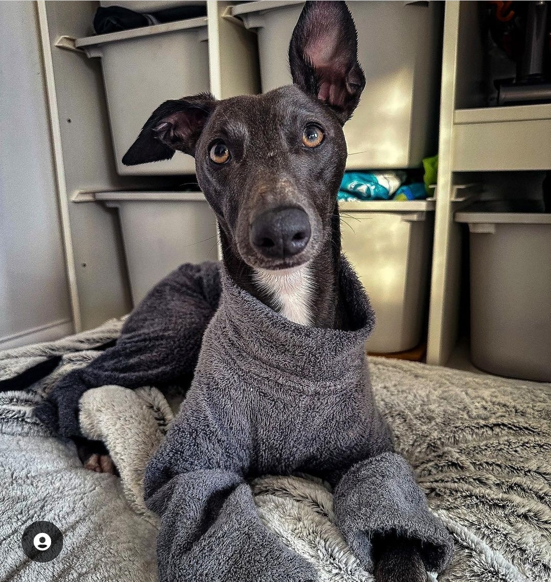 Whippet Bamboo Drying Suit