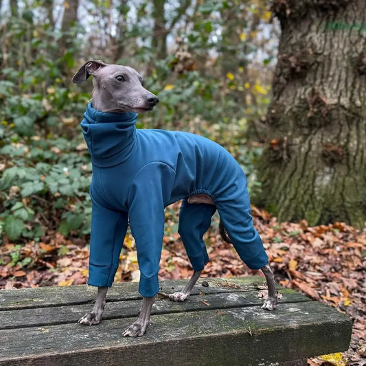 Softshell Water Resistant Suit For Italian Greyhounds