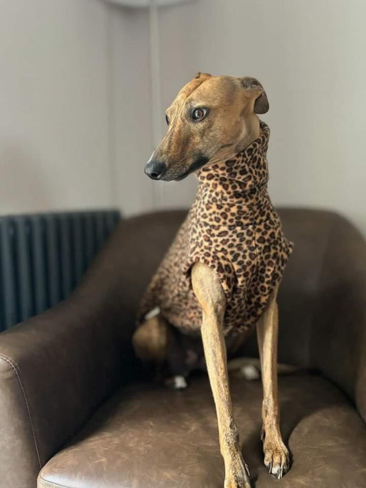 Leopard Print Whippet Tankie