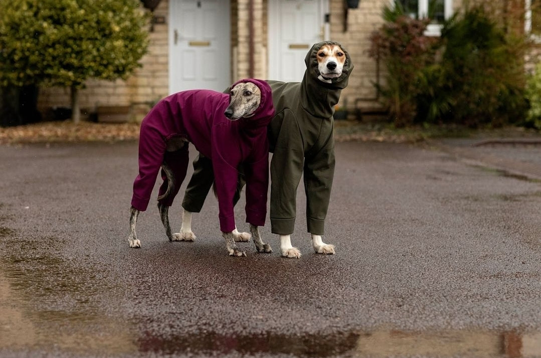 Softshell Water Resistant Suit For Greyhounds