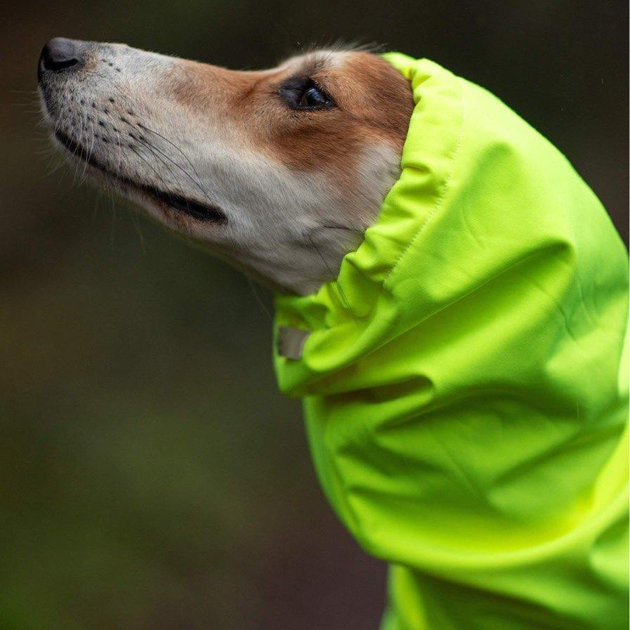 Softshell Water Resistant Suit For Greyhounds