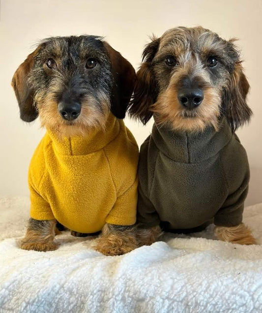 Dachshund/Small Breed Long Sleeve Jumper