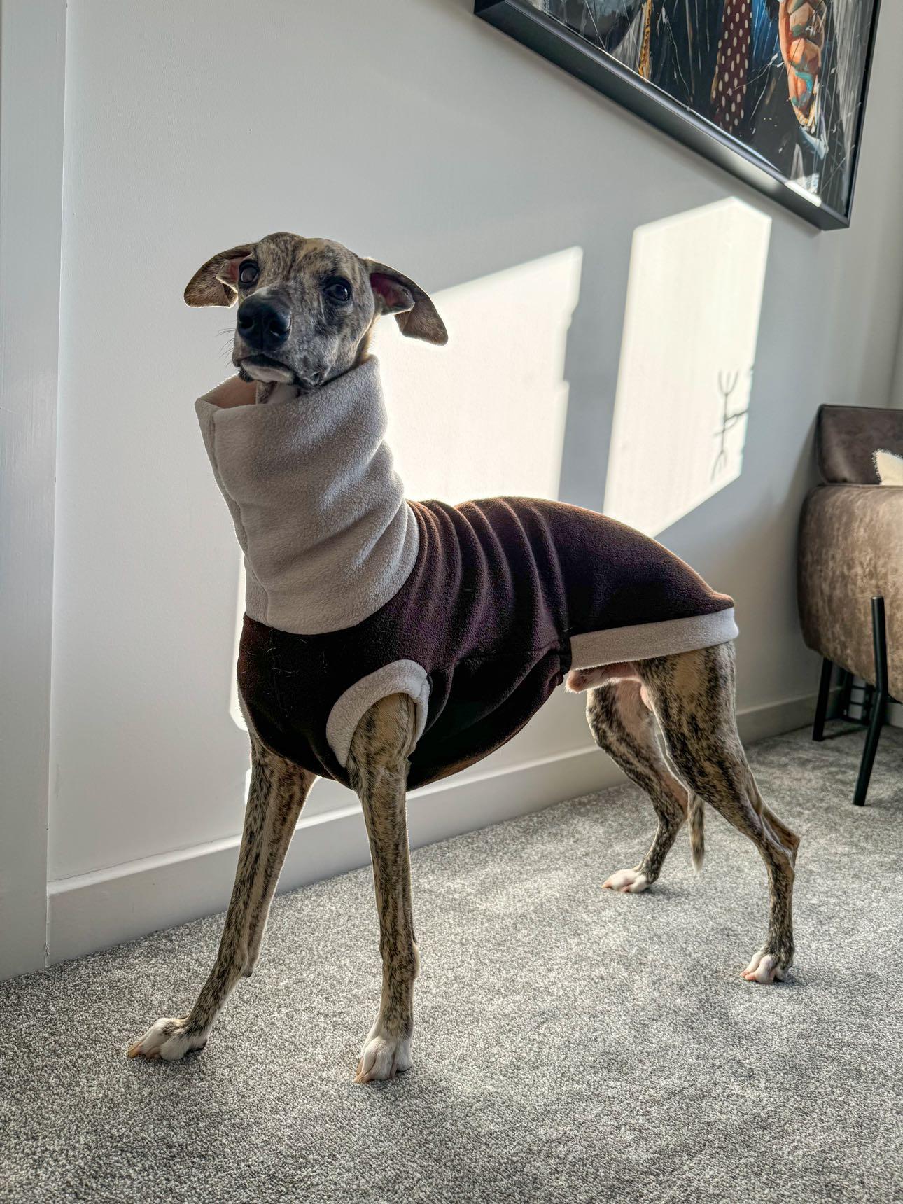 Bleu's Tankie For Whippets In Chocolate & Stone