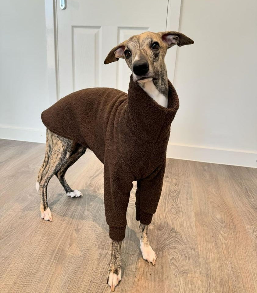 Chocolate Sherpa Fleece Sighthound Jumper